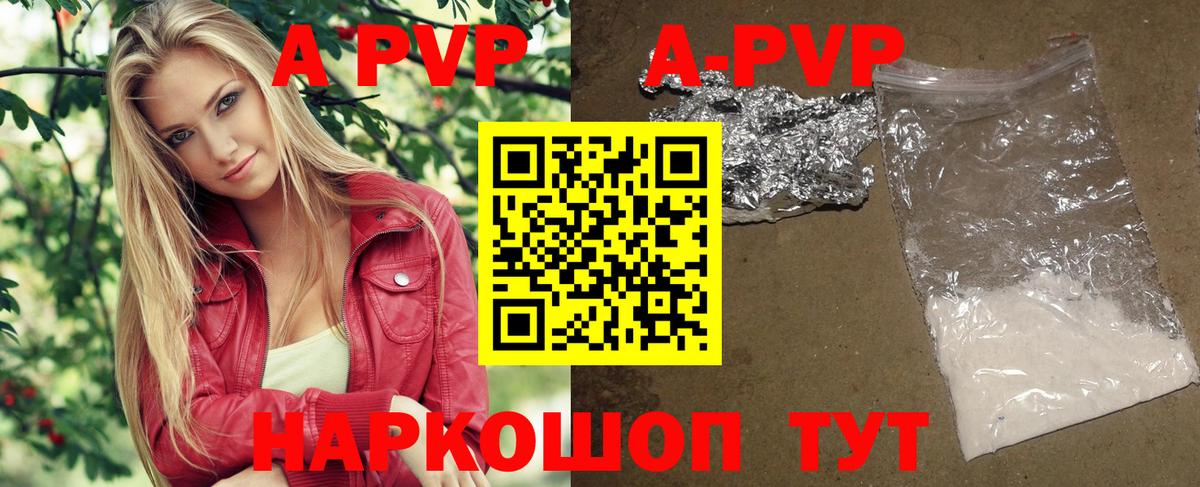 Alfa_PVP СК Урус-Мартан