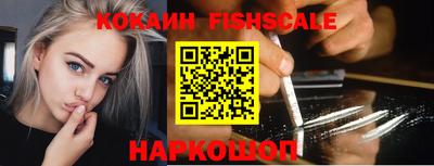 индика Можга