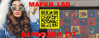 индика Можга