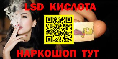 индика Можга
