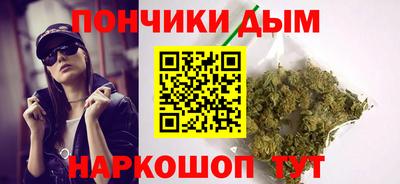 индика Можга