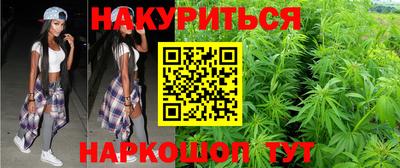индика Можга