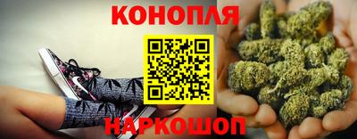 индика Можга